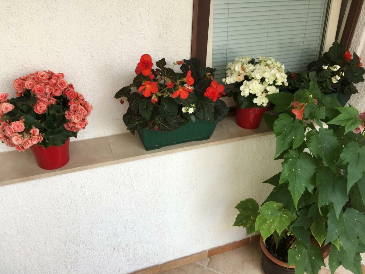 Apartment Lucija Нови Винодолски Екстериор снимка