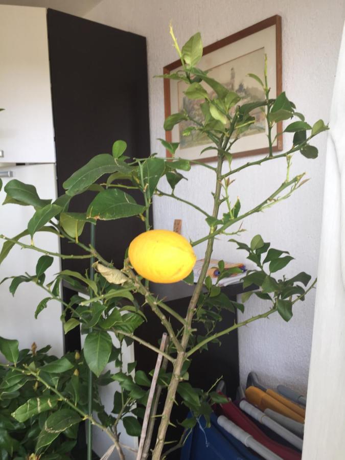 Apartment Lucija Нови Винодолски Екстериор снимка
